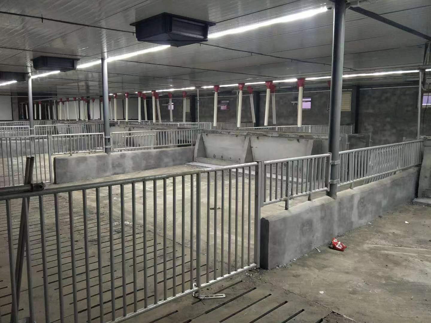 e668fe7c73513d7e73d32d0477a628