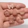 Pedra do Sol Natural Garra de Gato Laço Contas Espaçadoras Acessórios Concha Brilhante Dupla Face Mini Multiformato Estrela de Cinco Pontas Pode Ser Feito à Mão DIY