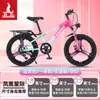 Bicicleta Infantil Phoenix para Niñas de 6-12-15 Años, Adolescentes, Niños Mayores, Bicicleta de Montaña con Cambios para Estudiantes