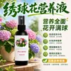 Solução Nutricional Especial para Hortênsias para Brotação e Enraizamento Fertilizante Fertilizante Especial para Hortênsias em Vasos Solução Líquida Fertilizante