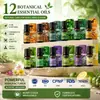 Aceite Esencial Aromaterapia Hidrosoluble Transfronterizo Comercio Exterior 5ml Difusor Humidificador Aire Fresco Especial para Dormitorio con un Toque de Lujo