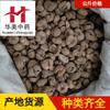 Zhejiang Fritillaria 1000g Hua Mei Medicina Tradicional Chinesa Atacado Fornecimento Imediato Zhejiang Fritillaria
