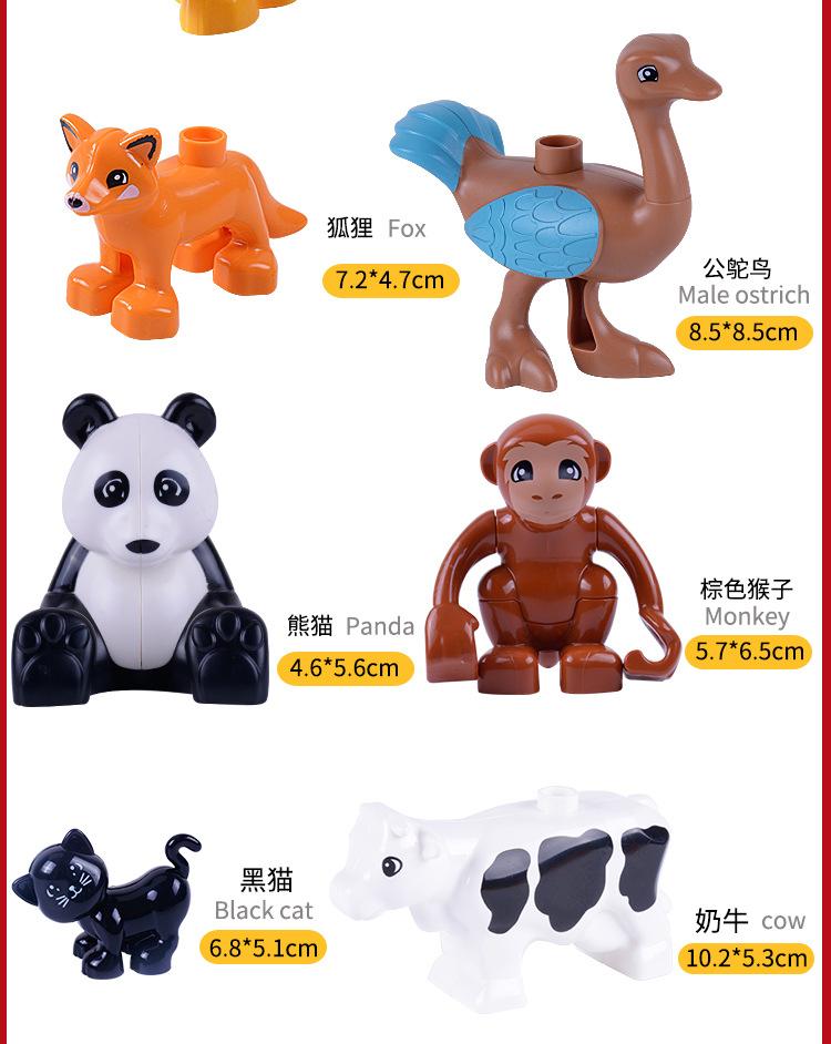 动物详情_14