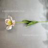Tulipa de aba única nova phalaenopsis artificial Mori floral decorativo arranjo floral para caminho de casamento flor de seda