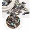 Estilo Japonés Colorido Perla Asimétrica Piedra de Concha Fragmentos de Abulón Decoraciones para Uñas Accesorios de Arte de Uñas Piezas de Concha
