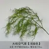 Plantas Verdes Artificiales, Hierba de Espárrago, Aspárago, Hierba del Aire, Pared de Flores para Bodas, Jardín de Monet, Decoración Suave, Paisajismo de Invierno, Arreglo Floral