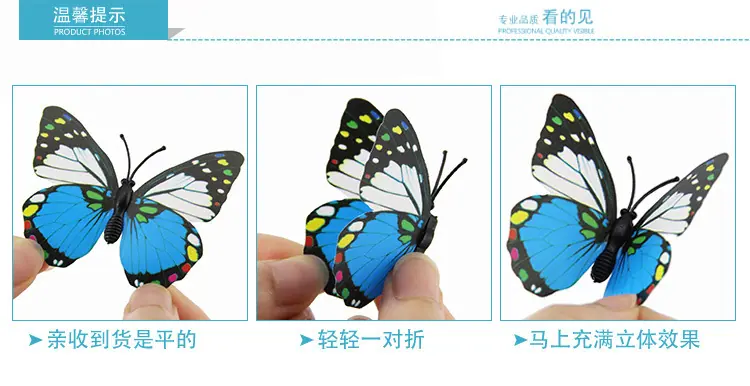 蝴蝶套版_05.jpg