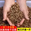 Especialidad de Guizhou Frijoles Negros Fermentados de Zunyi, Frijoles Secos en Salsa, Frijoles Negros Fermentados de la Tierra Natal, Frijoles Negros Fermentados Salados Originales Hechos en la Granja