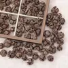 Materiales de Cáscara de Fruta Semilla de Planta Natural por Jin Hecho a Mano DIY Campana de Manivela Manual Carrillón de Viento Fruta Seca Paquete de Material de Fruta Venta al por Mayor