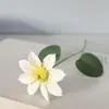 Estilo Ins Pequeno Buquê Fresco Flor Artificial Flor Gerbera Flor Margarida Flor Violeta Combinando Decorações de Sala de Estar