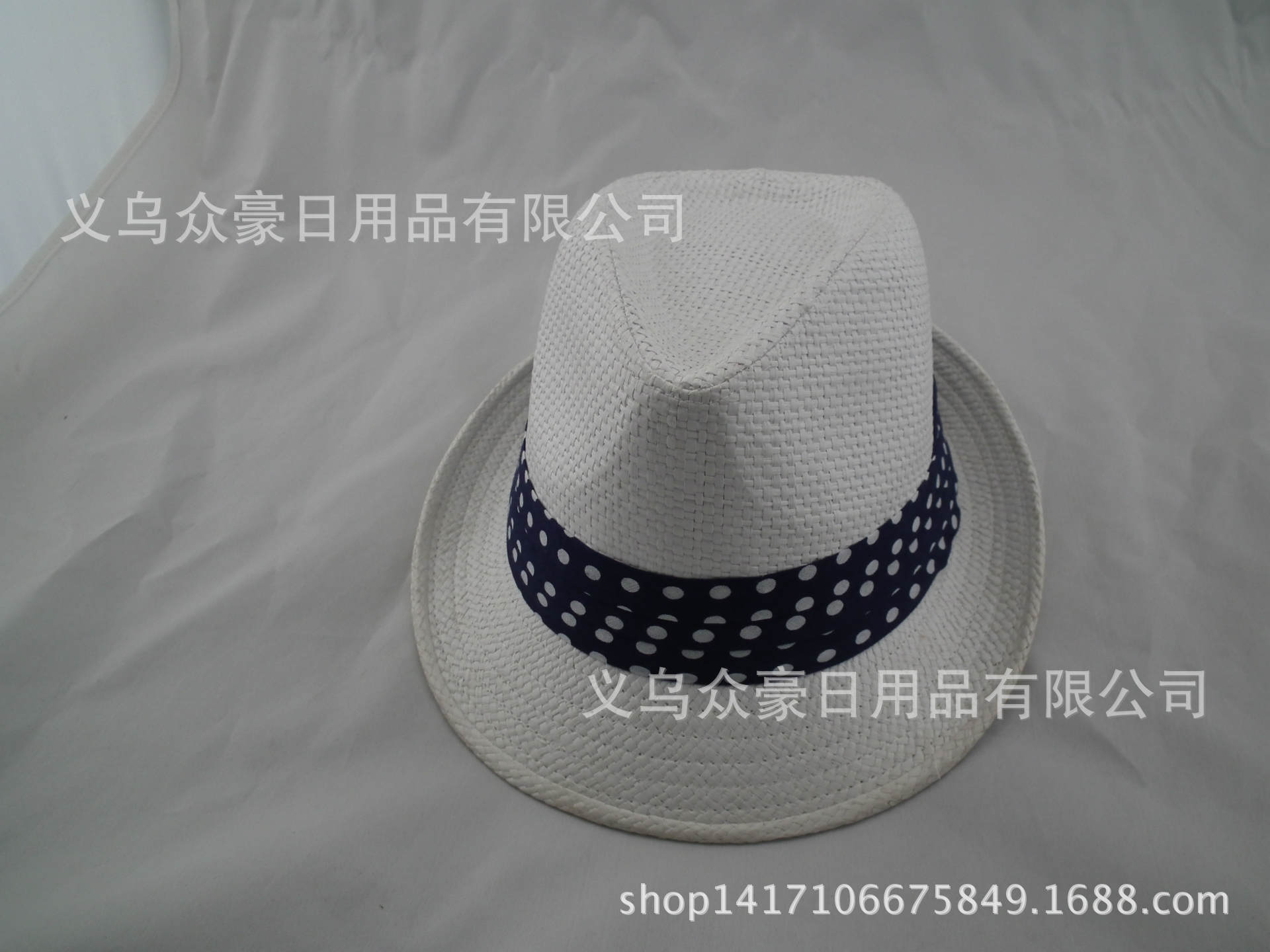 DSCF8012