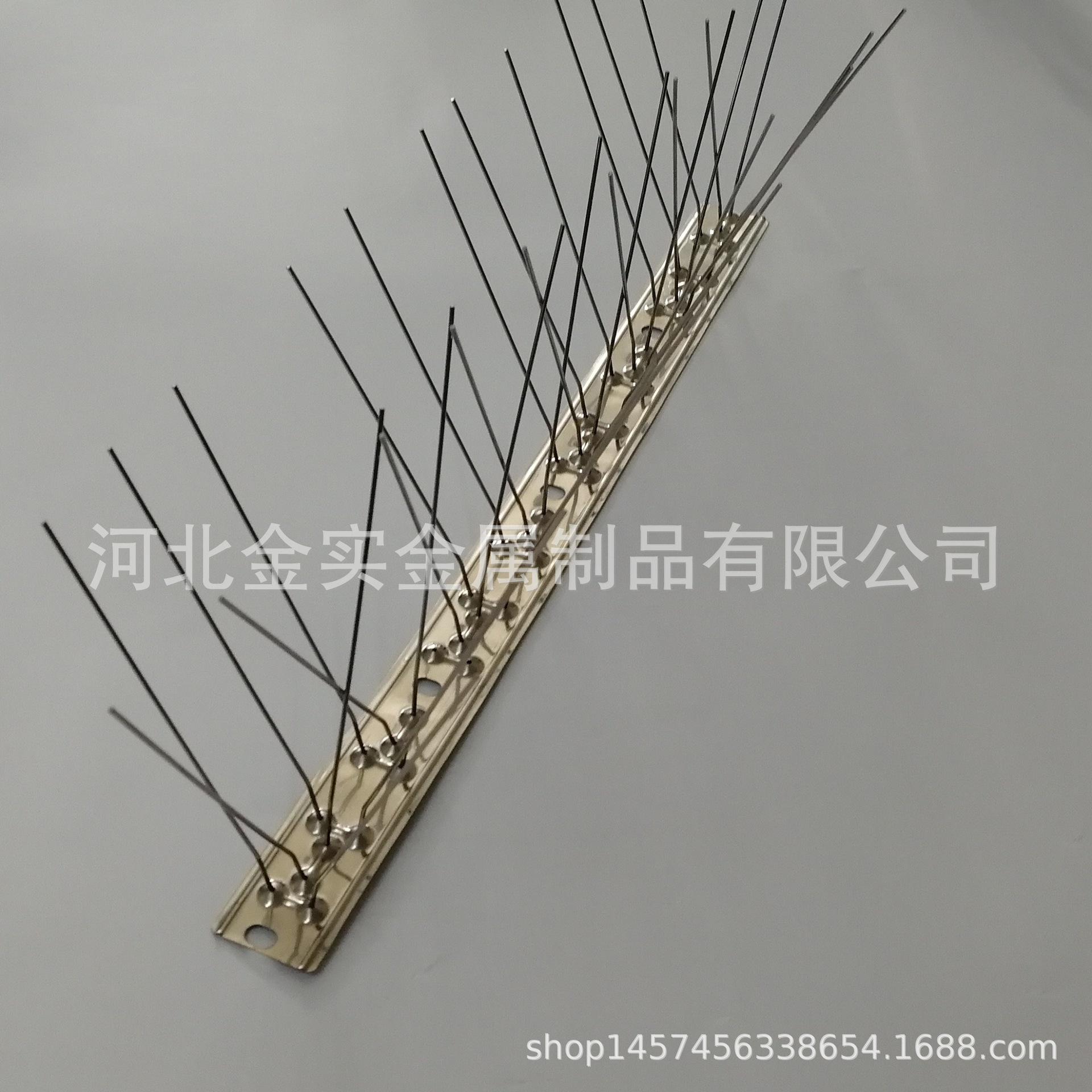 IMG_20191122_103854正