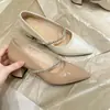 Sapatos Mary Jane Bico Fino com Strass Estilo Francês Feminino 2026 Novo Salto Bloco Decote Baixo Tira Única Para o Trabalho Sapatos de Salto Alto Únicos