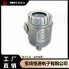 Transmisor de Presión Hengtong para Medición de Gas y Líquido, Medición y Control de Campo Industrial Sensor de Aceite Hidráulico Alta Presión