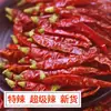 Chile seco extra picante, producto de granja especial secado al sol, extremadamente fragante y extremadamente picante, pimienta india, venta al por mayor comercial 100g