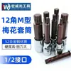Jogo de chaves Allen Torx de 12 pontas, soquete M10, com ferramenta Torx de 12 pontas M14