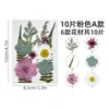 Paquete de Materiales DIY Estampados con Flores Secas Cuidadosamente Seleccionadas Móvil de Flores Coloridas Pegamento para Celular Marcador Estampado para Rostro Paquete de Abanico de Heno