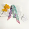 Bufandas de Seda Empacadas Individualmente al por Mayor, Tiras Largas de Dibujos Animados para Atar Bolsas y Cajas, Cintas Versátiles para Atar el Cabello, Pequeñas Cintas de Seda para Mujeres, Accesorios para el Cabello, Diademas
