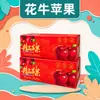 Gansu Tianshui Maçã Huaniu Festival da Maçã Vermelha Huaniu Presente de Ano Novo Compras em Grupo Caixa de Presente Banquete de Negócios
