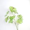 Hojas de Begonia Simuladas, Flores Simuladas, Sensación de Sala de Estar, Flores Artificiales, Plantas Verdes, Plantas Hoja de Tortuga, Decoración del Hogar, Venta al por Mayor por Fabricante