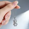 Collar de Moda Estilo Coreano para Mujer con Colgante de Oso de Pedrería, Popular entre Blogueras, Cadena para Clavícula de Oso Linda Fresca y Dulce Venta al por Mayor