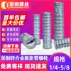 Tubo de Expansión de Aleación de Zinc, Tubo de Expansión con Tornillo Grande para Madera, Tornillo de Expansión, Estándar Americano, Anclaje de Pared de Expansión Hecho en América 1/4, 5/16