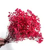 Buquê de Gipsofila Seca Preservada Flores Secas Brancas Flores Reais Secas ao Ar Flores Grandes Decoração de Sala de Estar Arranjo de Flores Flores para Fotografia de Casamento