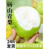 Peras Frescas, Peras Verdes Dangshan, Envío Gratis de Temporada, Caja Completa, Peras Corona, Peras Nieve, Peras Fragantes, China