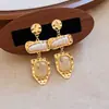 Pendientes Geométricos de Flor de Resina Transfronterizos Europeos y Americanos Otoplastias Maillard Otoño e Invierno Diseño Nicho de Gama Alta Joyería para Orejas Venta al por Mayor