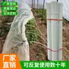 Estacas de Plantio, Hastes de Fibra, Estufas em Forma de Arco, Kits de Estufas Pequenas, Suportes de Isolamento e Proteção contra Chuva, Estruturas para Cultivo de Mudas, Estufas de Arco Sólido para Suculentas