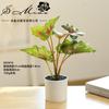 Flores Artificiales al por Mayor, Plantas Verdes, Bonsái, Flores Falsas Creativas para Interiores, Fabricante de Dropshipping, Plantas Artificiales, Plantas Artificiales en Maceta