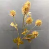 6 linternas redondas pino diente de león ramo seco artificial modelo bola crisantemo paisajismo de habitación crisantemo ping pong plantas verdes decorativas