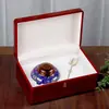 Yuerui Latas de Té Esmaltadas Cajas de Regalo Almacenamiento de Materiales Medicinales de Alta Gama Sello Pequeño Altar Cerámico Botella de Té Grande Vacía