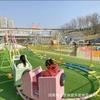 Fabricante de Equipamiento de Diversión para Niños y Padres tipo Bicicleta Impulsada por Humanos en Pista Exterior, Montaña Rusa sin Motor