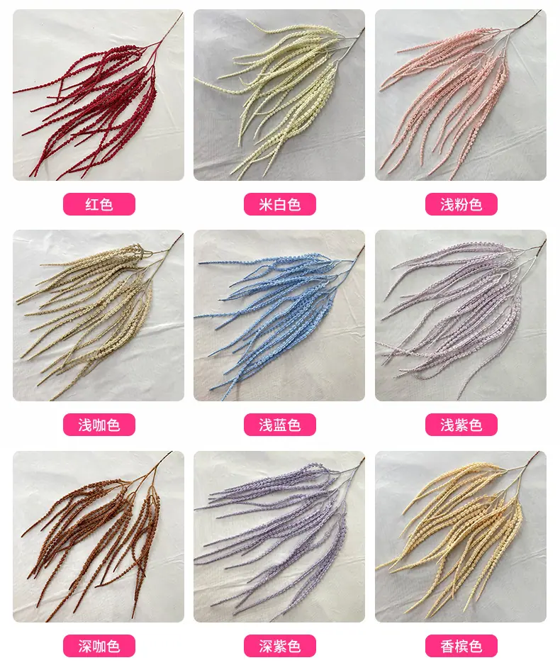 产品颜色 (1).jpg