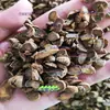 Materiales Medicinales Chinos Yuanhu 500g Yanhusuo Yuanhu Seleccionado en Rodajas Piezas Grandes Polvo Molible Polvo de Yuanhu Té de Yuanhu