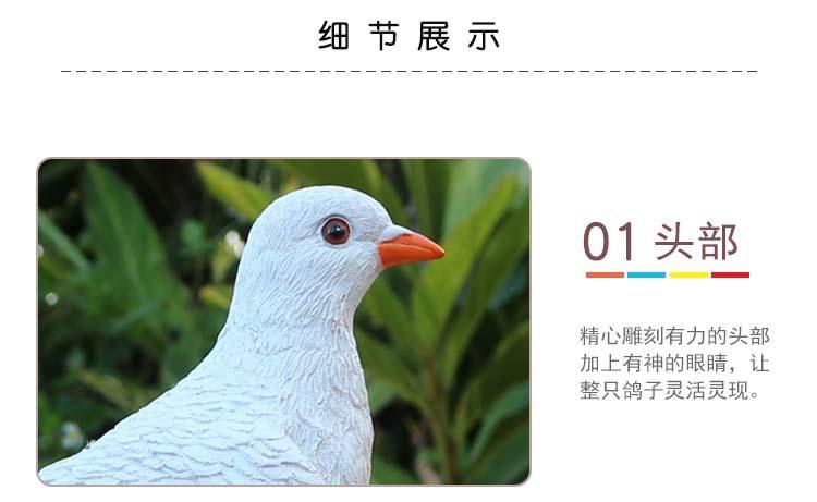 鸽子_19.jpg