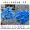 Nuevas hortensias azules de comercio exterior ramo azul rosa peonía hortensias boda decoración suave flores artificiales al por mayor