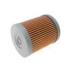 420256188 21040111601 0800-011300 filtro adecuado para UTV ATV de primavera