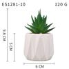 Planta Suculenta Simulada Macetas, Decoración de Muebles de Oficina Nórdicos, Nuevas Suculentas Bonsái Simuladas de Alta Calidad para el Hogar