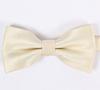 Estilo coreano cor sólida dos homens Silver Point Bow Tie sul-coreano de seda casamento Bow Tie Dress Business Bow