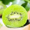 Shaanxi Cuixiang Kiwi Cuixiang Festival de Frutas Exóticas Grupo de Compras Caixa de Presente Para Presentear Mercadorias de Ano Novo Pacote de Presente Empresarial