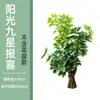 Árvore da Fortuna Simulada Plástico Árvore Falsa Planta Árvore em Vaso de Chão Sala de Estar Decoração de Flores Interna Planta Verde Falsa Bonsai