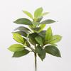 Ramos de Plantas Verdes Simuladas de Madera que Cambia de Color, Hojas Artificiales, Accesorios de Mar Blanco y Hoja de Tung, Paisajismo Decorativo de Madera Simulada que Cambia de Color