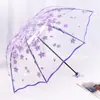 Estilo Fresco y Sencillo Estudiante Arco Apolo Paraguas Largo de Plástico Transparente con Mango Largo para Actuaciones Infantiles, Personalización con Logo al por Mayor