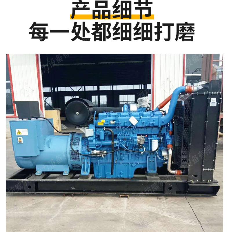 玉柴350千瓦发电机组_07.jpg