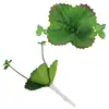 Mini Planta Suculenta Artificial Única Suculenta Falsa Flor Artificial Adorno de Micro Paisaje Oficina Planta Verde Real Artificial Alto