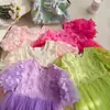 Vestido de Niña de Manga Mariposa con Volantes Vestido de Princesa de Malla Vestido de Princesa de Tul para Niña