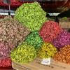 Flor Seca Hortensia Flor Eterna Hortensia Anna Rama Única Absorción de Color Hortensia Anna Flor Eterna Adornos Florales Floricultura Decorativa