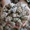 Panax Notoginseng de Wenshan, Yunnan, Venta al por Mayor y Dropshipping de Panax Notoginseng